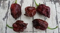 Skunk Chocolate - Pepper Seeds - White Hot Peppers